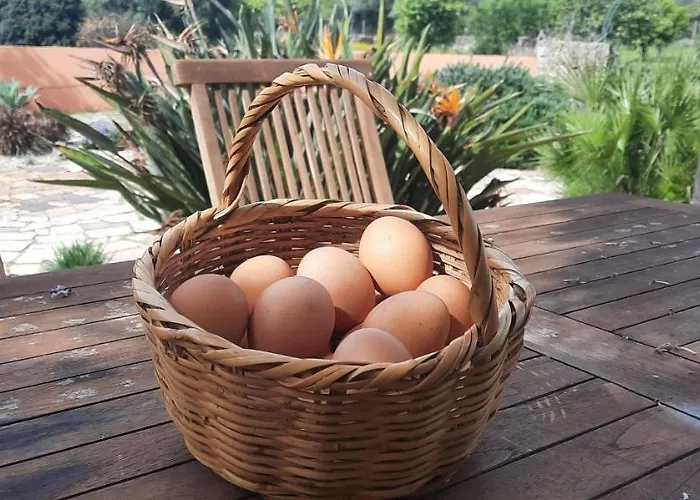 Rural Peace In The Algarve - Private With Kitchenette And Bathroom Apartment *
