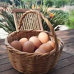 Rural Peace In The Algarve - Private With Kitchenette And Bathroom Apartment *