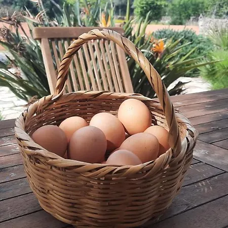 Rural Peace In The Algarve - Private With Kitchenette And Bathroom Apartamento *