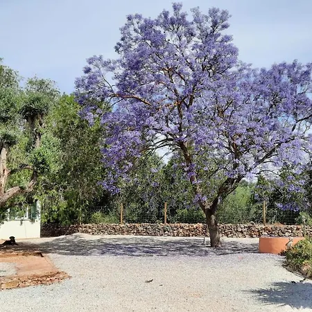 Rural Peace In The Algarve - Private With Kitchenette And Bathroom