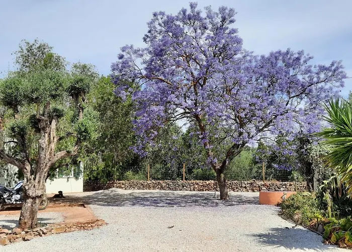 Rural Peace In The Algarve - Private With Kitchenette And Bathroom