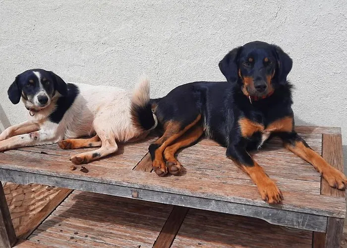 Rural Peace In The Algarve - Private With Kitchenette And Bathroom Apartman Aldeia dos Matos